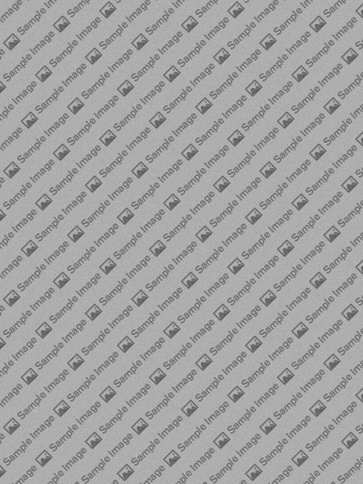 Customize Your Menu with the Menu Editor